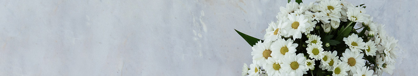 Cravo Flor: Arranjos e Buquês para Entrega. Cravo Flor: Arranjos e Buquês para Entrega.