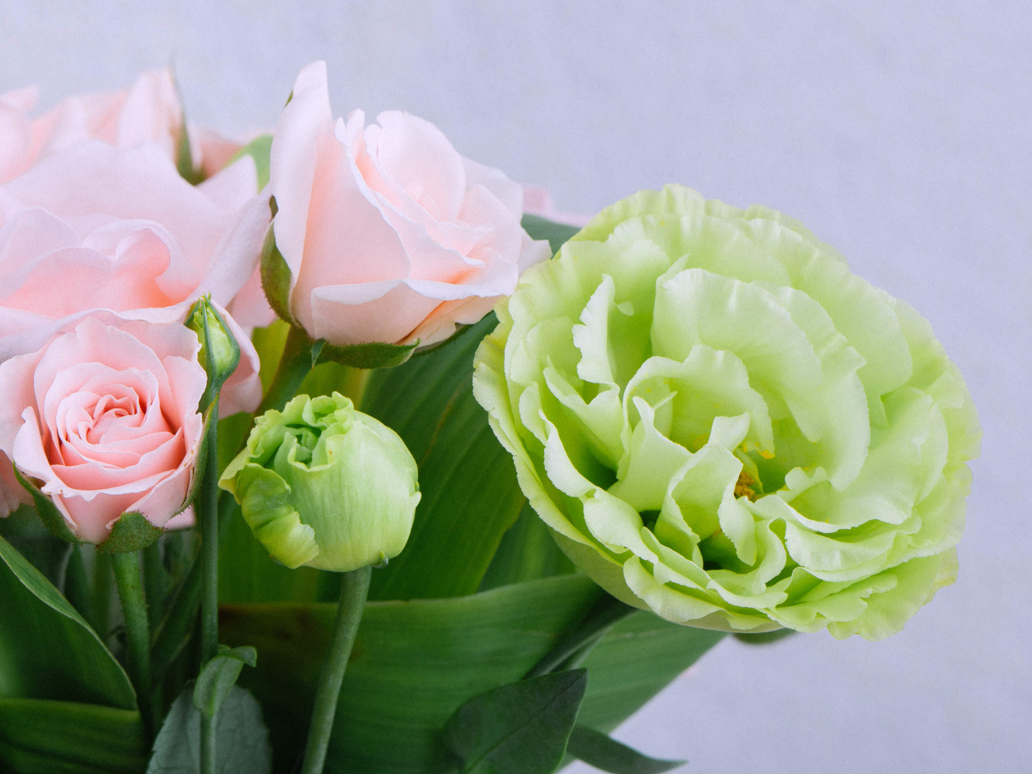 Super Carinhoso Cesta com Buquê de Flores e Pelúcia com Doce de Leite Havanna
