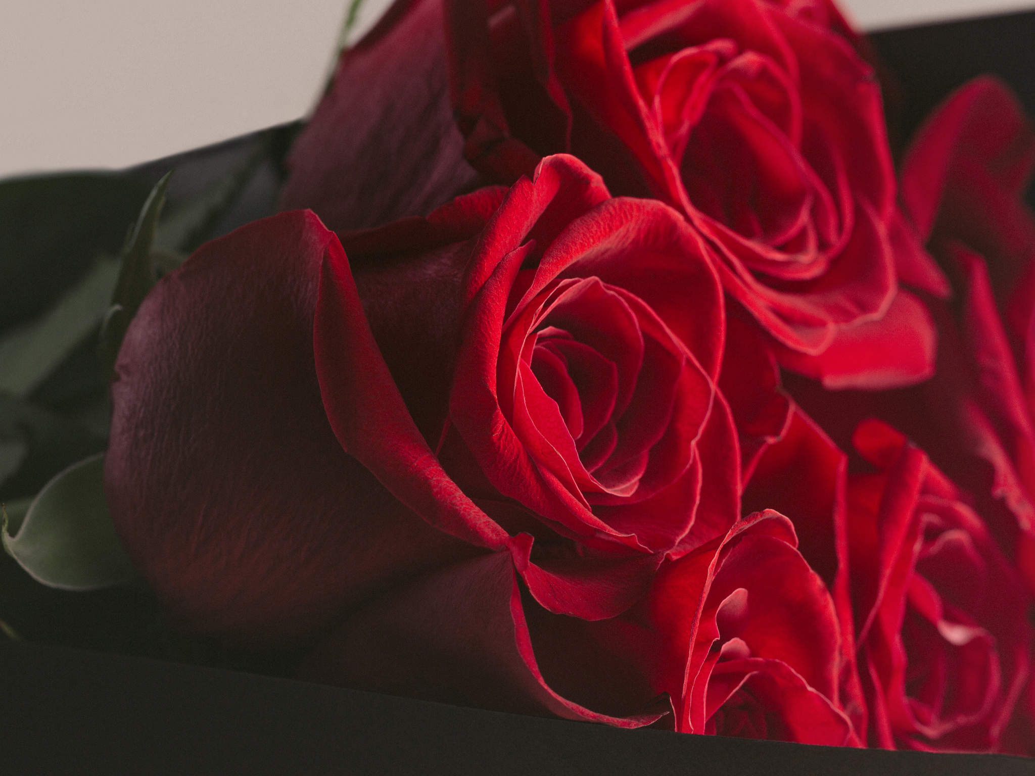 Poesia Moderna Buquê de Rosas Vermelhas em Caixa de Presente Para Entrega