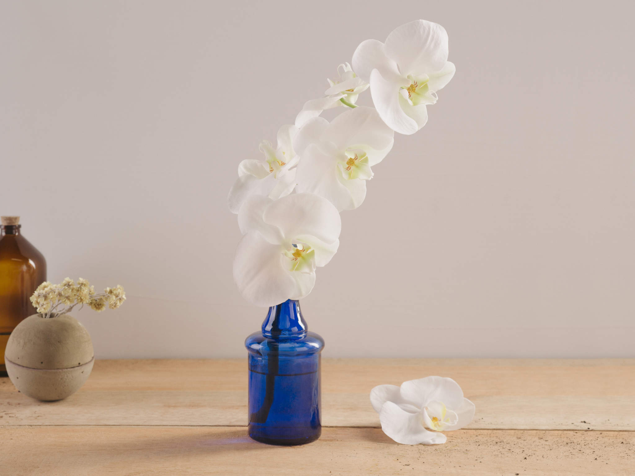 Arranjo Diamante Azul Orquídea Branca em Vaso de Vidro Azul