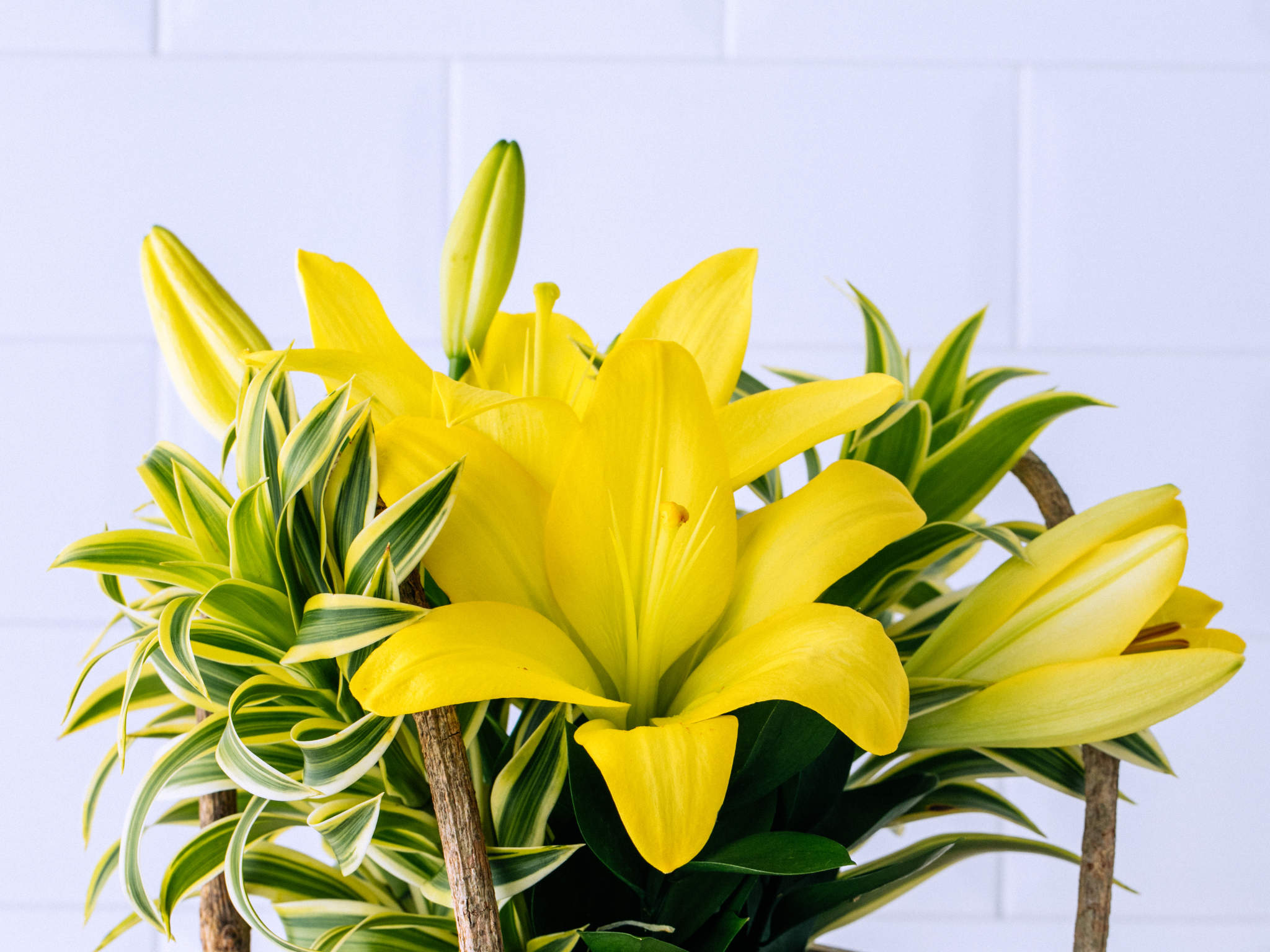 Cor do Dia - Bright Side Candle Lírio Amarelo em Base de Madeira com Vela Bright Side Candle