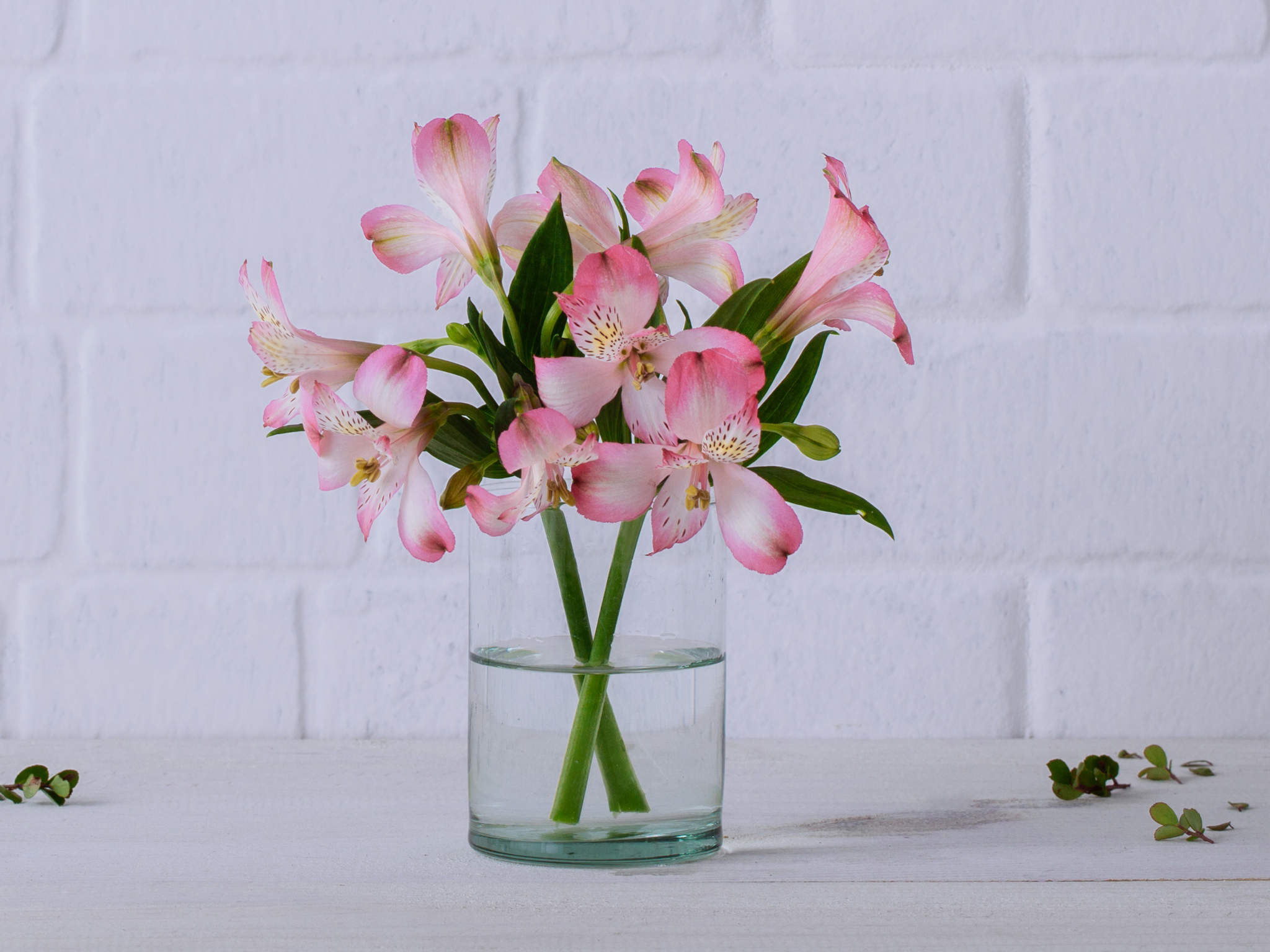 Arranjo de Alstroemérias Rosas em Vaso Para Entrega