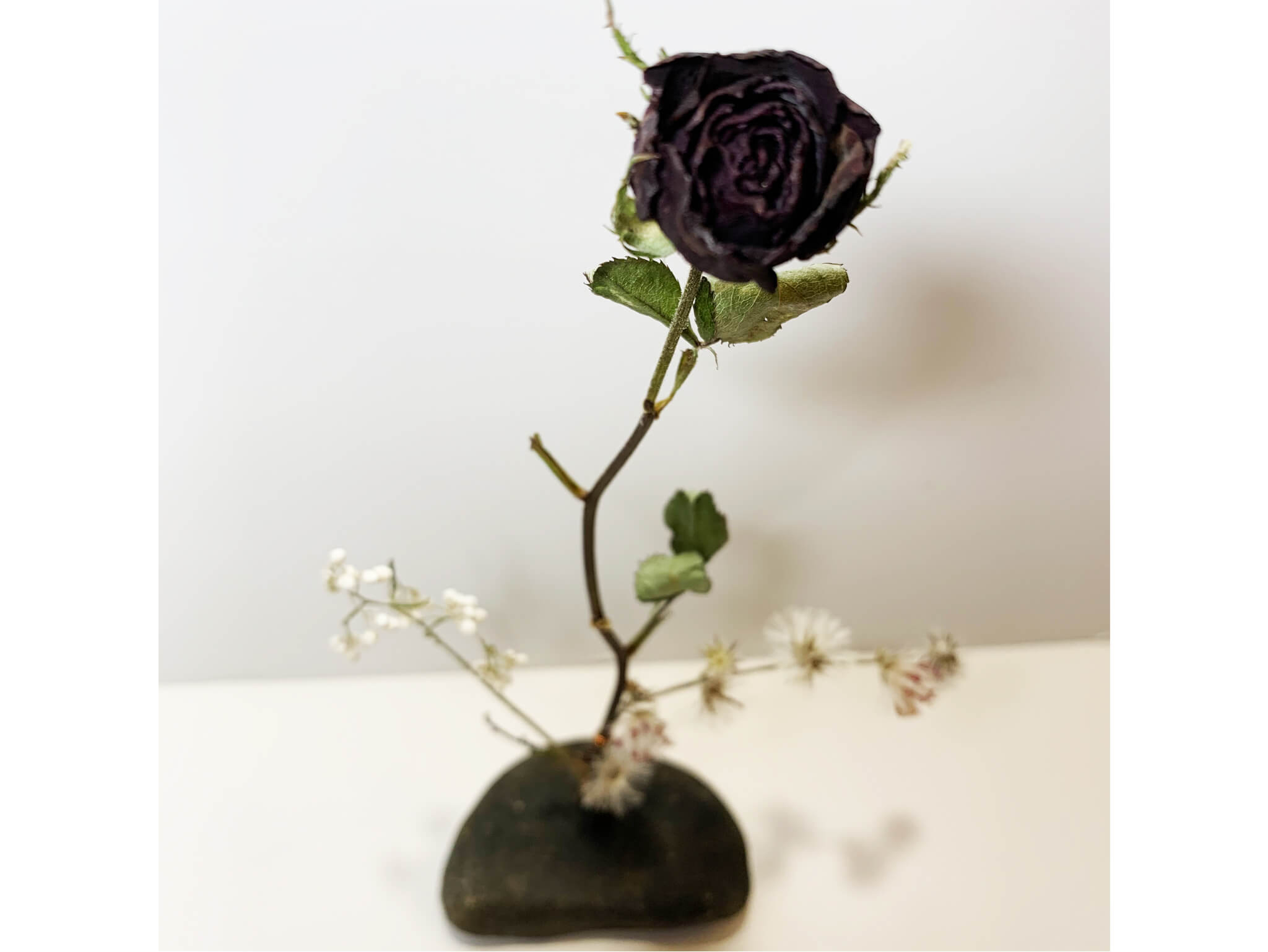 Arranjo Flores Secas 3 Pedras Arranjo Flores Secas 3 Pedras