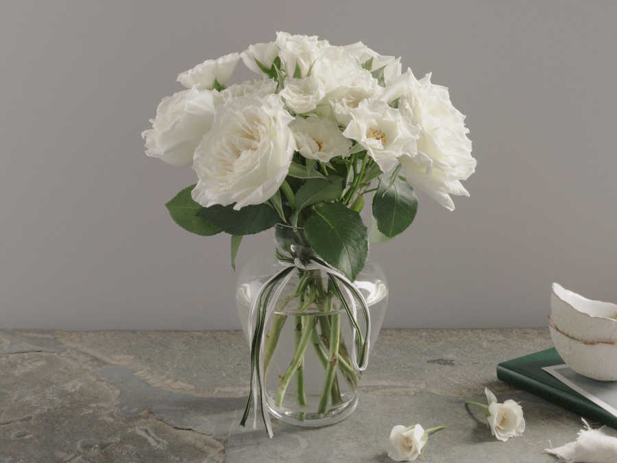 Arranjo de Rosas Brancas Em Vaso