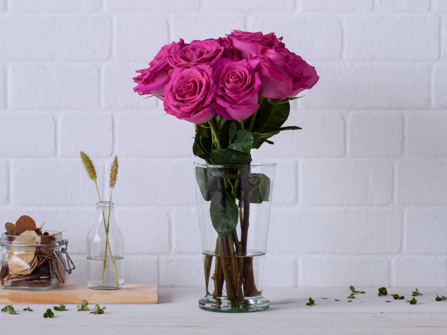 Arranjo de Rosas Pink em Vaso Para Entrega