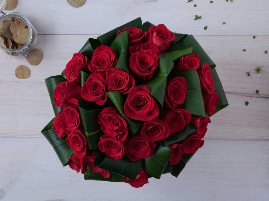Buquê de 25 Rosas Vermelhas em Vaso Para Entrega
