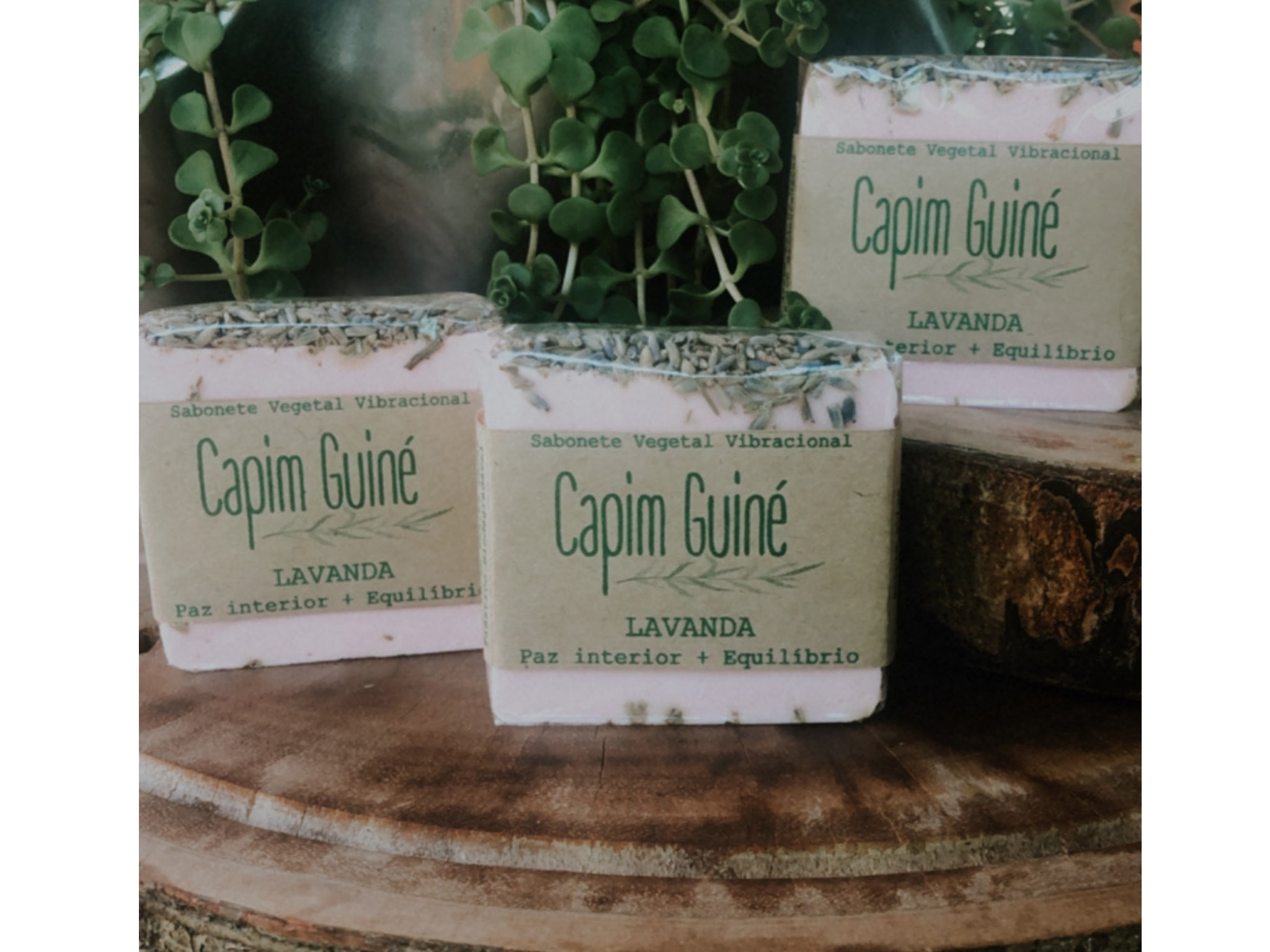 Sabonete Lavanda Sabonete Lavanda
