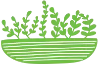 Entrega Rápida de Flores para Todo o Brasil Entrega Rápida de Flores para Todo o Brasil