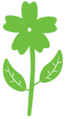 planta-4 planta-4
